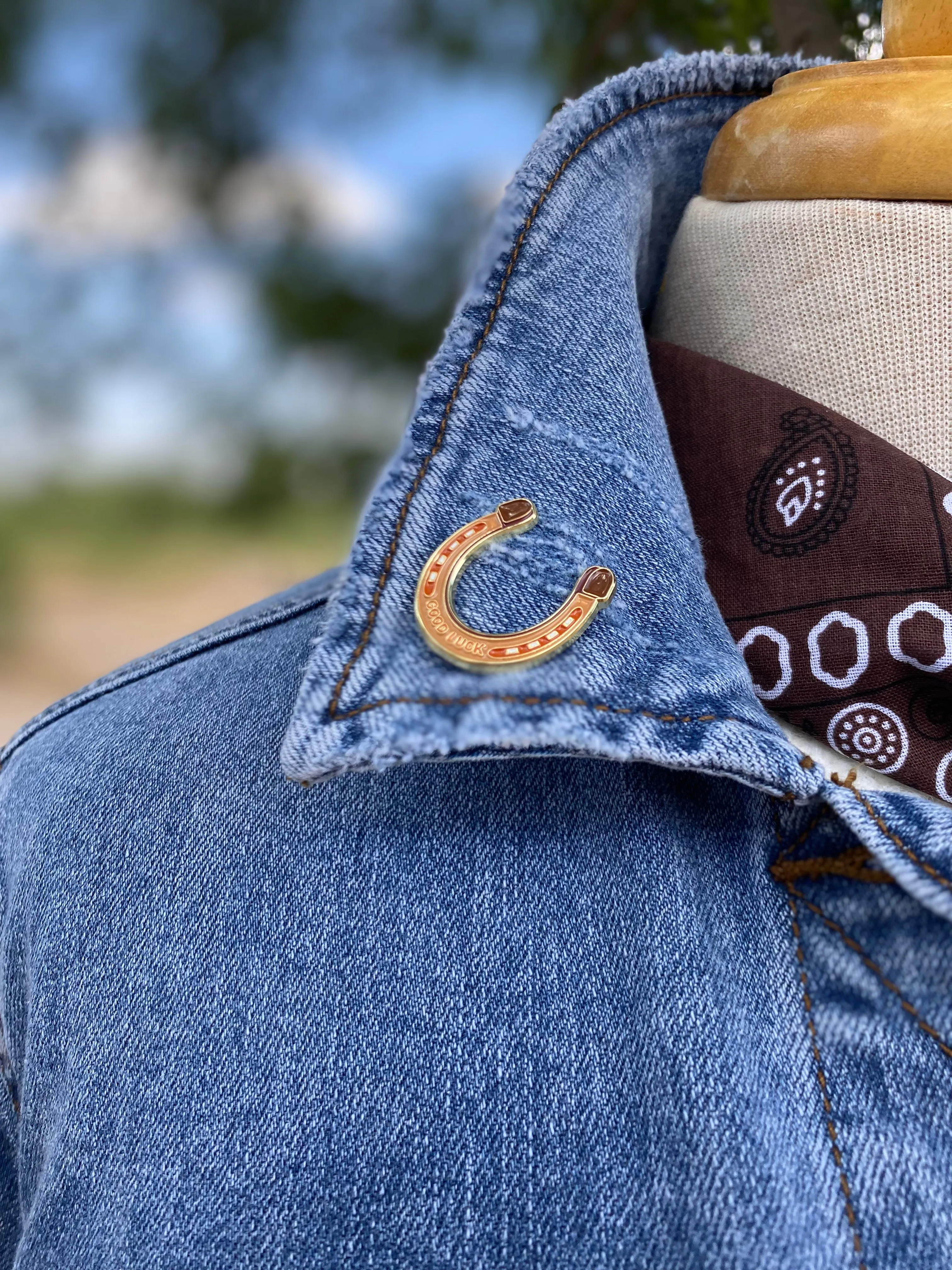 Cowboy Hat & Lapel Pins