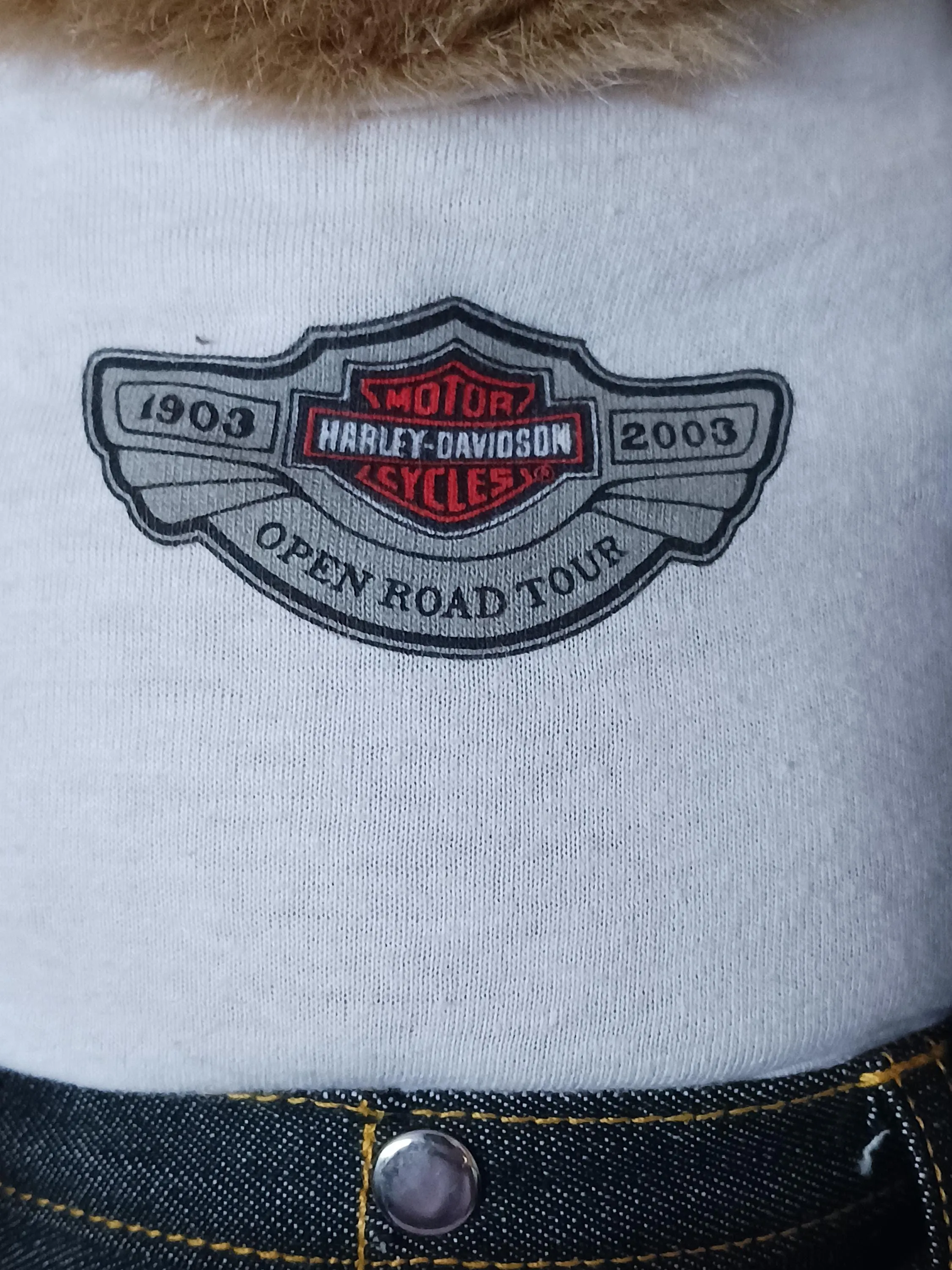 Harley Davidson Anniversary Bear, with Slogan, Bandana,Denim Jacket and Boots